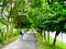 Biking path wit one girl looking back at the camera on a