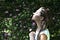 Young woman seen from the side, her face lit by the sunlight. Flowers bloom in the background.