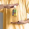 Aloe vera drink brands