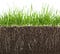 Humic acid for Plants