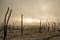 Evaporation of all water in our atmosphere