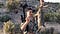 Best Compound Bow for Under 400 USD