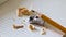 Pencil sharpener, pencil, and wood shavings on a notebook page.