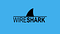 Wireshark logo