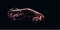 Car Hologram