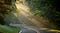 Sun rays burst through the trees and an early morning fall mist.