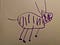 purple tiger