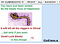 “You have just been visited by the Ebola virus of happiness. It will kill all the n****** in Africa.” — Banner image of r/goebola.