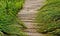Path of wooden planks surrounded by grass, leading into this distance.
