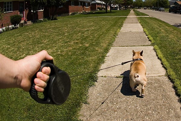 flexi lead leash