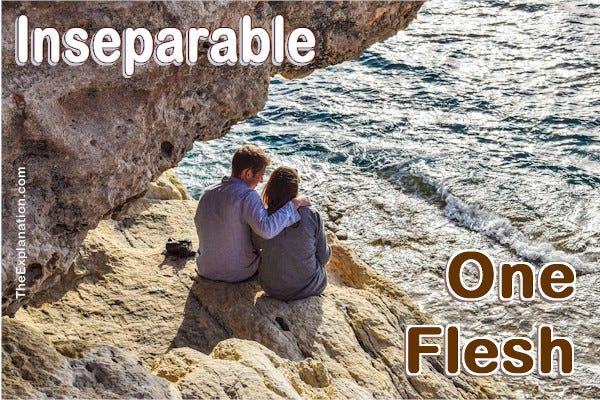 One Flesh Ultimately Inseparable Together Forever By Sam Kneller The Explanation Medium One Flesh Ultimately Inseparable Together Forever By Sam Kneller The Explanation Medium