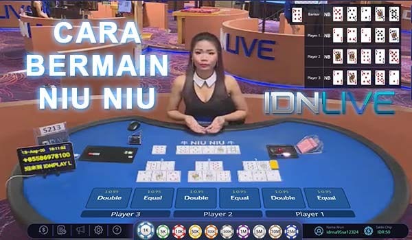 Hasil gambar untuk judi niu niu