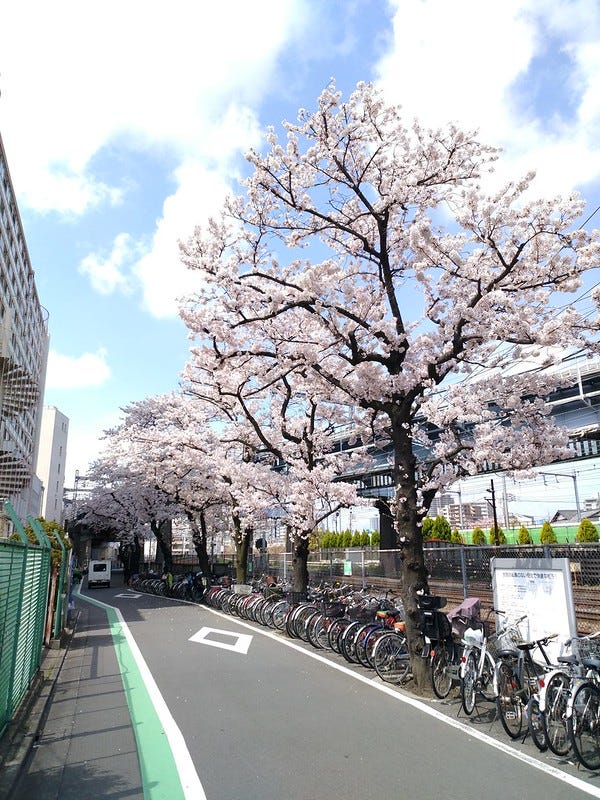 日本東京 日本咖啡教父田口護名店朝聖cafe Bach巴哈咖啡カフェ バッハ自家焙煎珈琲 By Kane Liu Kanephoto Medium