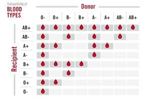 Blood Type Recipient Chart