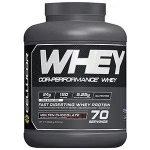 TOP TEN WHEY PROTEINS. If you go to the gym to lift weights… | by Devyansh  Singh Vishnoi | Medium