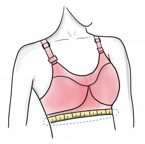 sports bra fitting