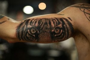 Tiger Tattoos And Their Meanings Tiger Tattoos Meaning And Symbolism By Jhaiho Medium