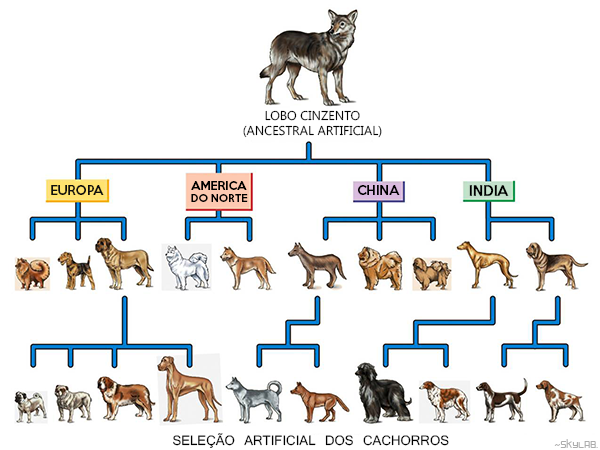 A produção de raças em laboratórios: uma evolução ou um retrocesso?