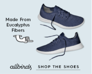 allbirds shoes competitors