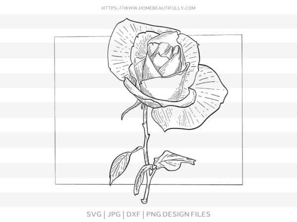 Rose Cut File Looking For A Pretty Rose Cut File By Homebeautifully Medium