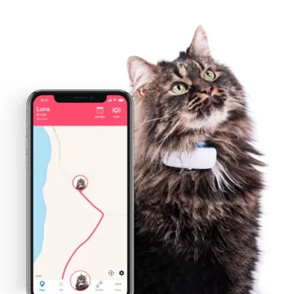 gps tracker for kittens