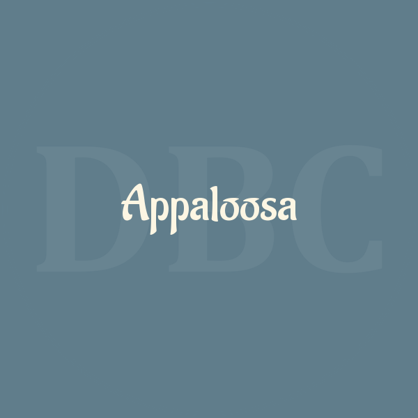 Guitar Chords Appaloosa Black Crowes Db Chord Medium