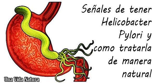 Tratamiento Natural Para El Helicobacter Pylori Samuel Sandoval