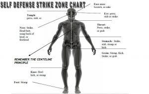 Strike Zone Chart