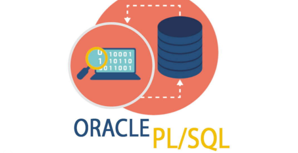 PL/SQL and Oracle database instance memory | by Akademily | Medium