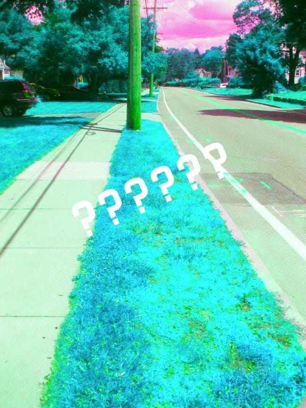 Whose Treelawn Is It Anyway? A Study in Regional Linguistics... r