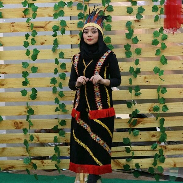 Gambar Pakaian Adat Dayak Kalimantan Tengah - Baju Adat Tradisional