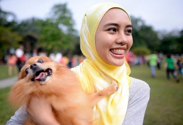 are dogs considered as haram in islam