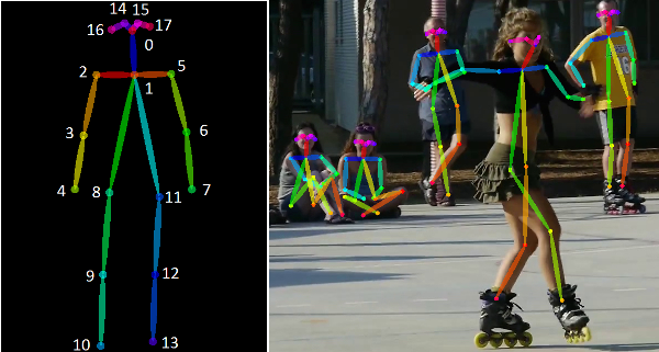 COCO keypoint format for human pose skeletons