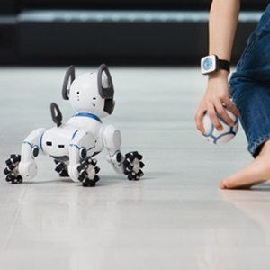 chip robot dog amazon