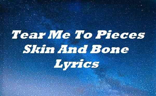 Tear Me To Pieces Skin And Bone Lyrics | by Ytmo lyrics | Medium