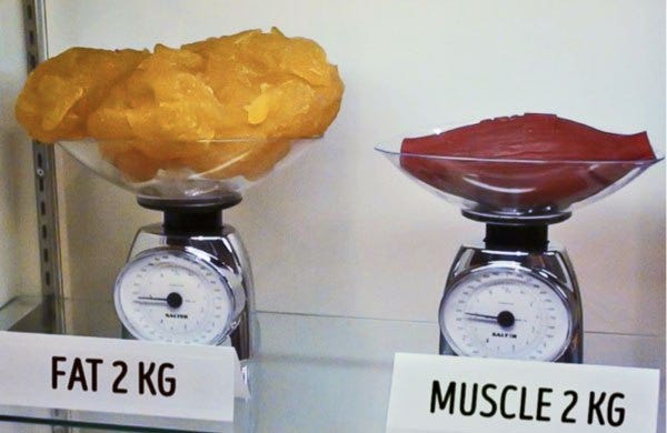 But muscle is heavier than fat, right? | by Juliette Norman |  LifestylesFitness | Medium