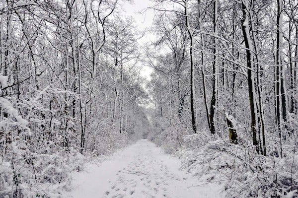 The Best Cities for Winter Running | by Mark Lowenstein | Great Runs ...