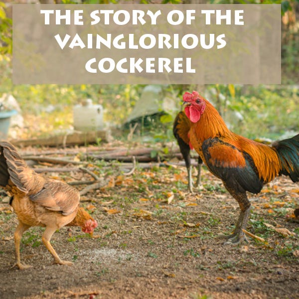 Moral Story The Vainglorious Cockerel By Shina Sdeen Medium