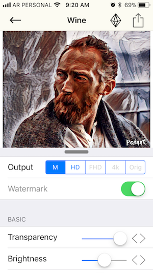painnt application