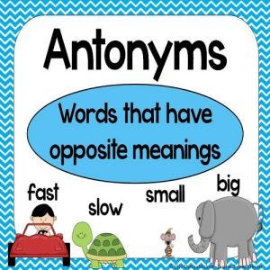 definition assignment antonym