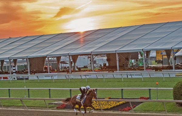 How To Place A Wheel Bet The Wheel In Horse Race Betting By Horse Racing Tips Medium