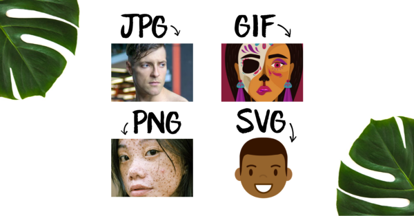 JPG vs PNG vs GIF vs SVG: Which Is the Best Image Format | UX Collective