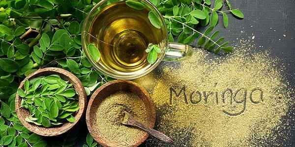 Quais Sao Os Beneficios Da Moringa Para Que Serve A Moringa Qual