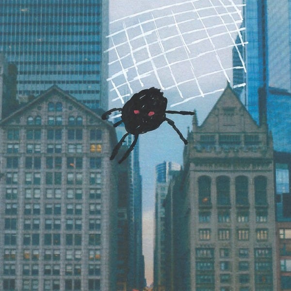 Obsessions Spider Looked Miserable By Peter Edwards Medium