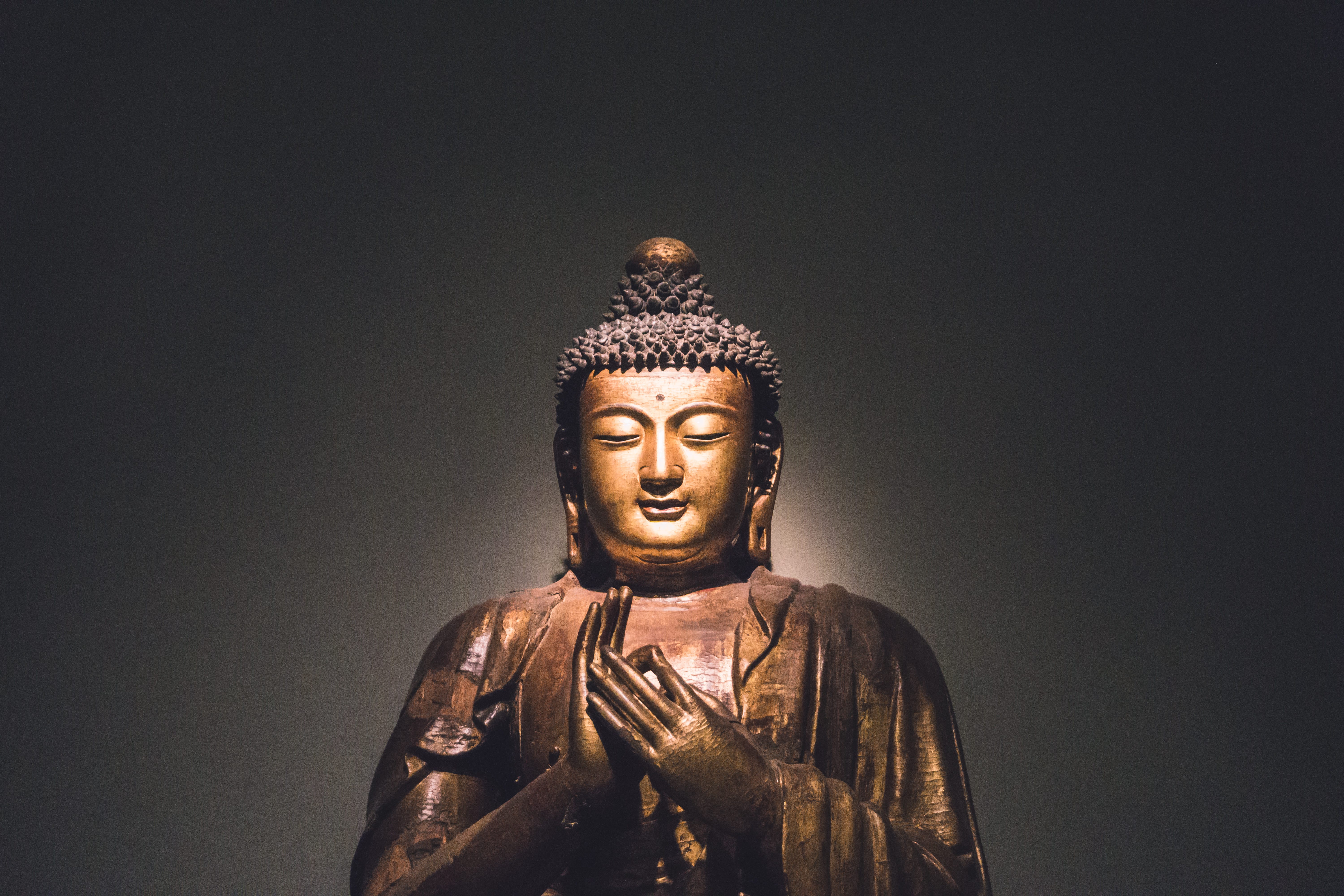 I Found Happiness as a Buddhist. Self-proclaimed Buddhists unite. | by taylor franklin | Medium