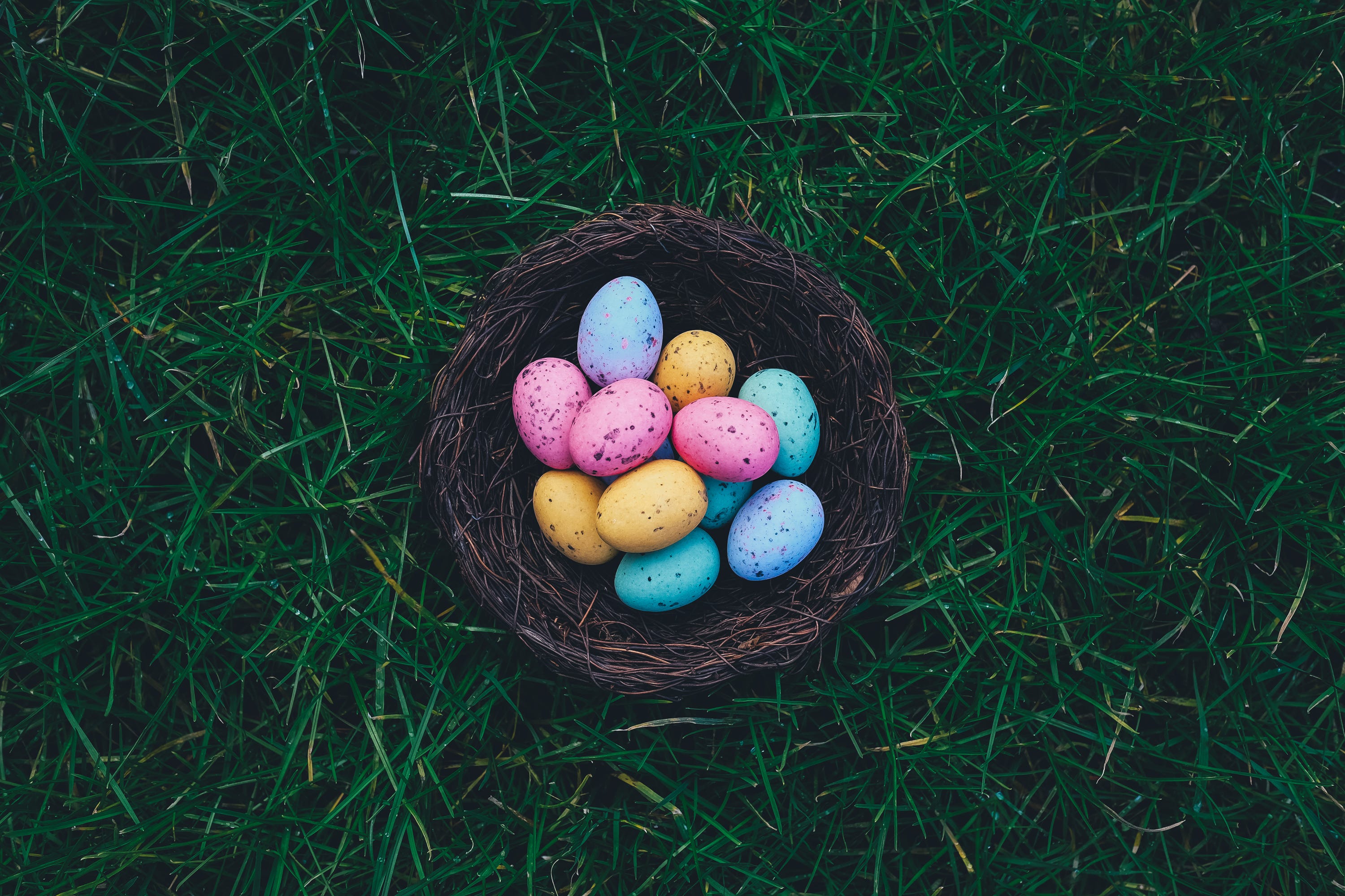 Does Easter Have Pagan Roots Somebunny Correct This Error By Dave 