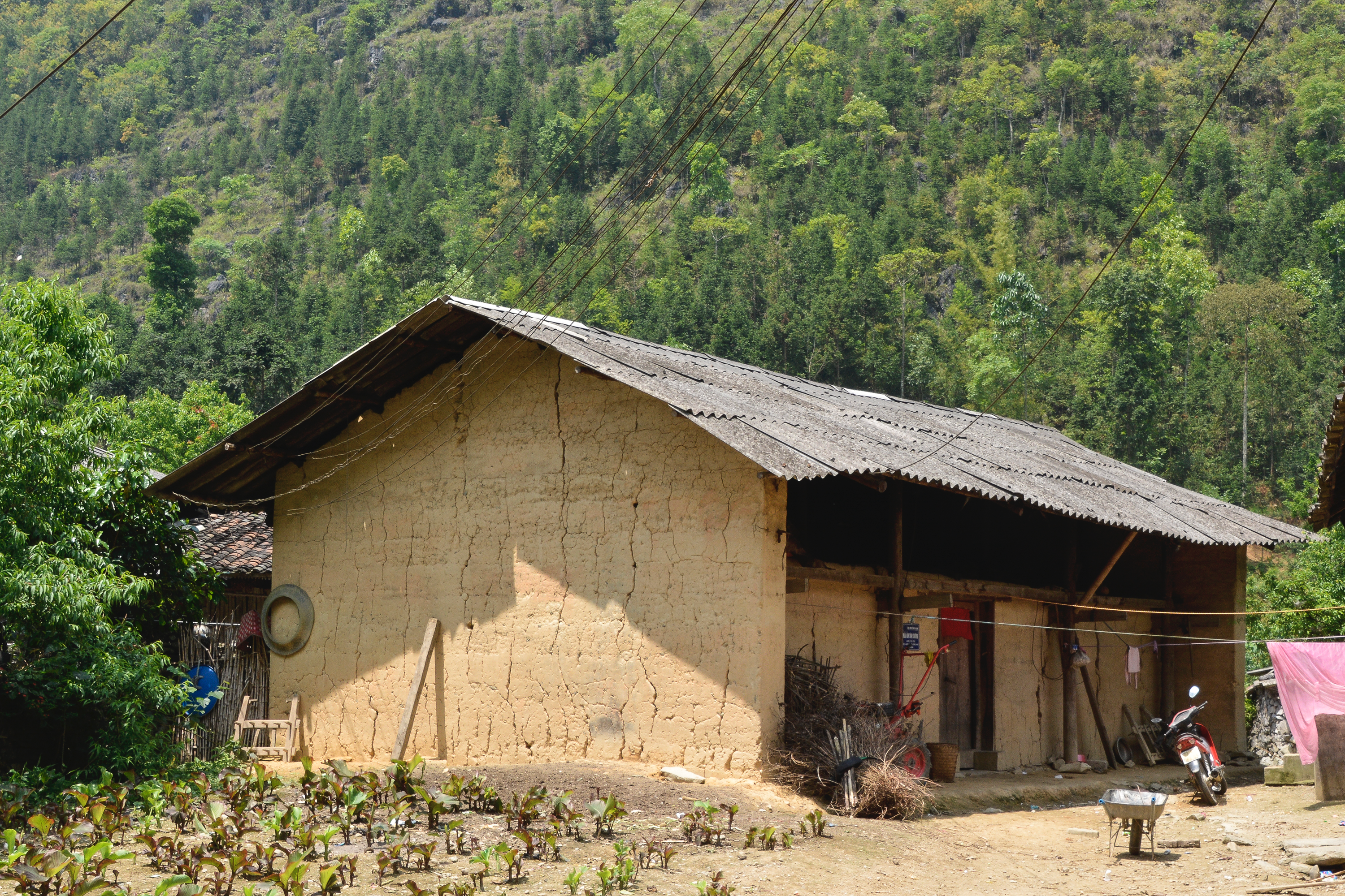 最も人気のある 熱帯 住居 熱帯 住居