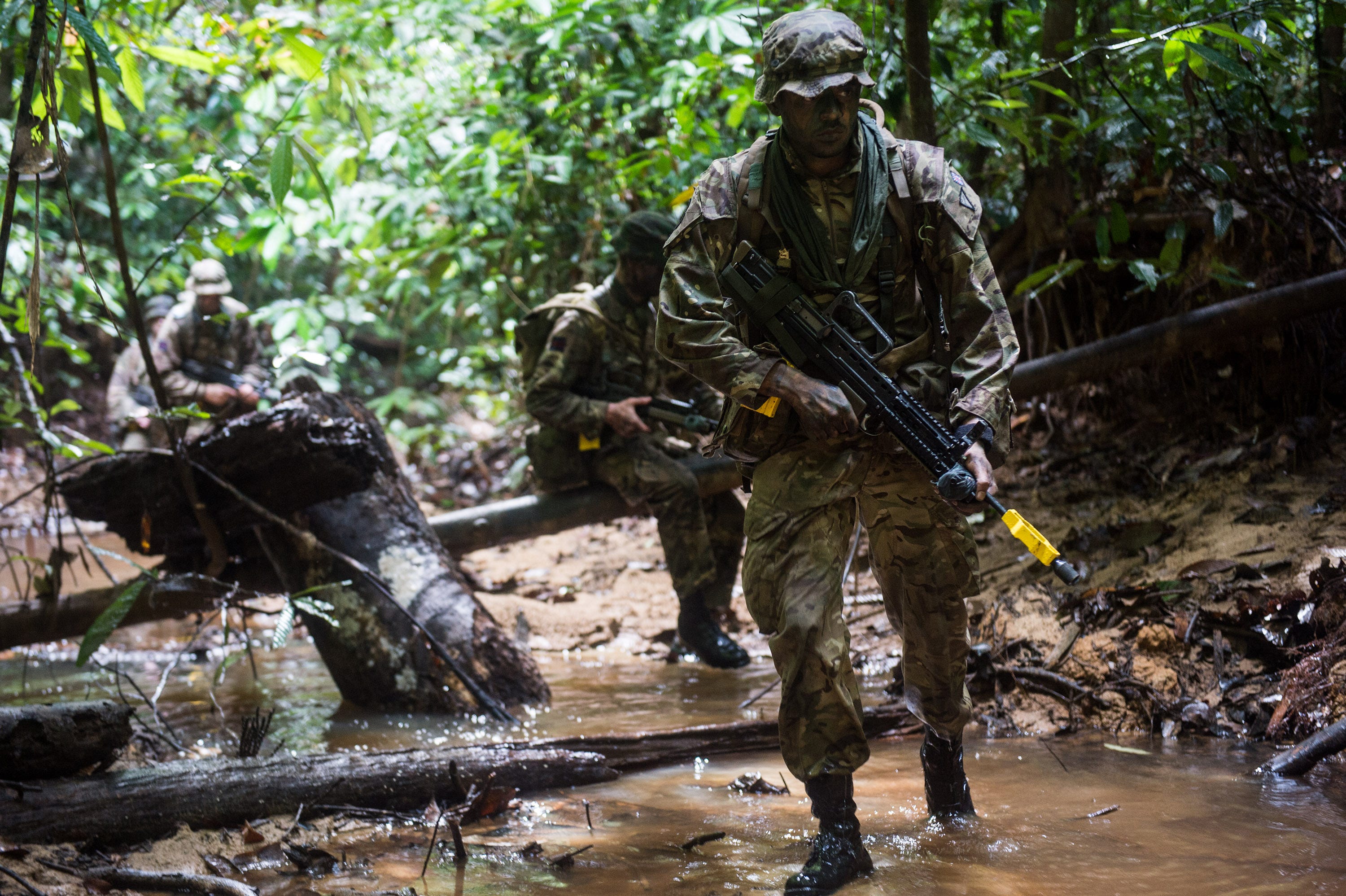 A Royal Marine S 8 Tips To Survive In The Jungle By Ministry Of Defence Voices Of The Armed Forces Medium A Royal Marine S 8 Tips To Survive In The Jungle By Ministry Of Defence Voices Of The Armed Forces Medium
