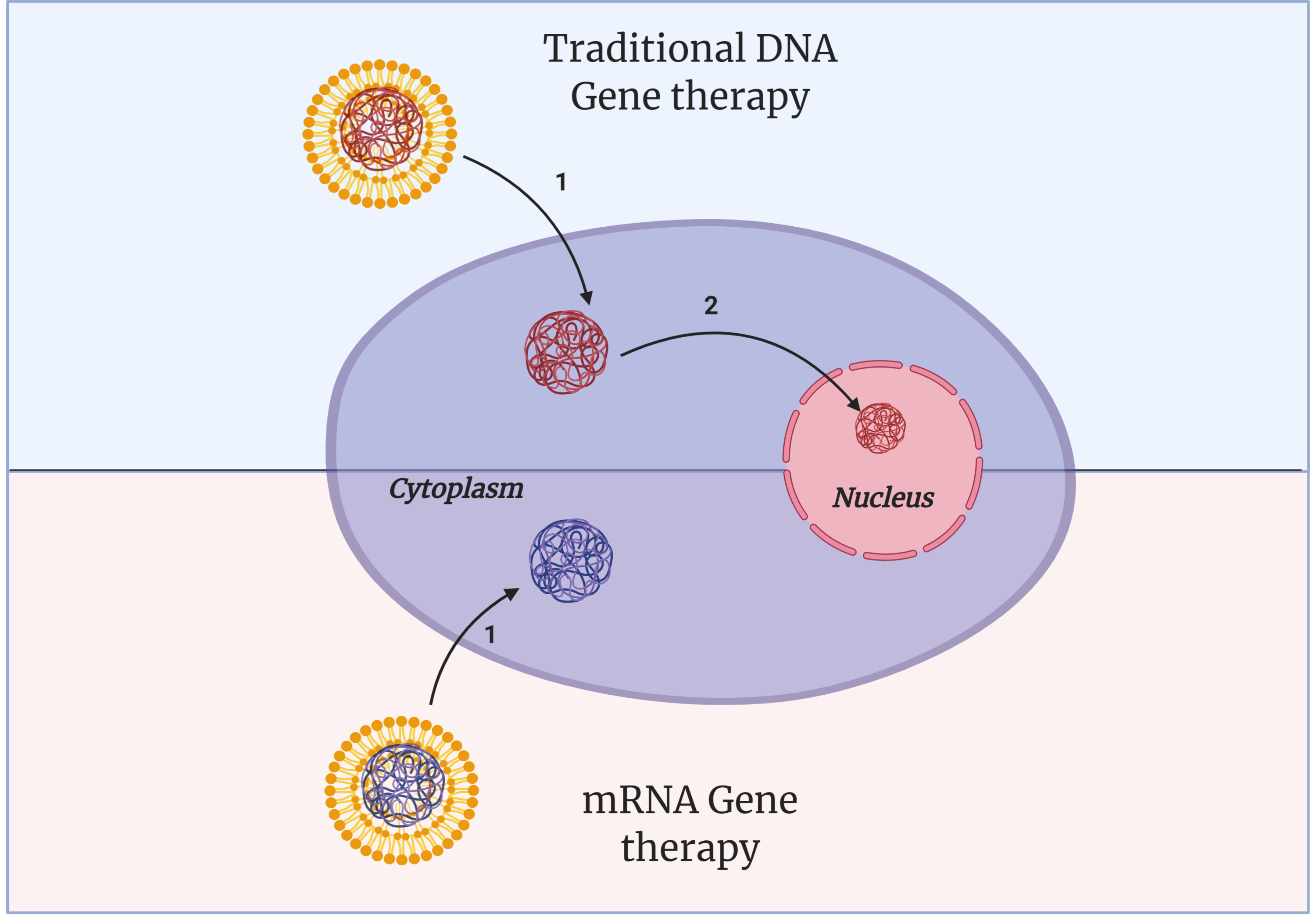 how genetic therapy works