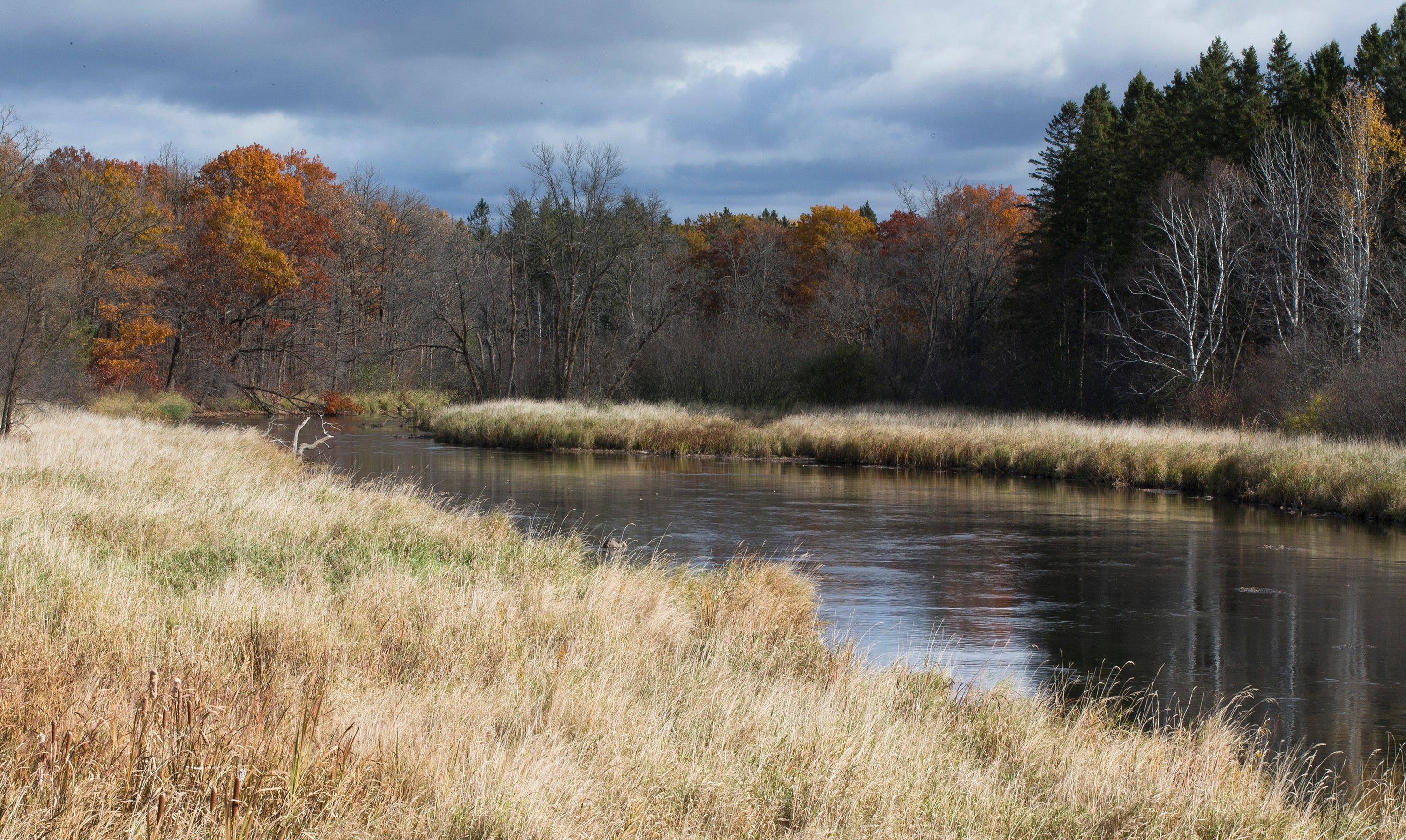 Rum River gains RIM easement option to protect water quality and